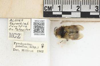 Media type: image;   Entomology 821944 Aspect: labels